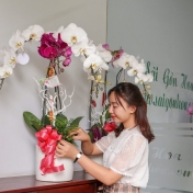 Lan Hồ Điệp