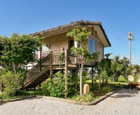 Bungalow Double Hillside | Lan Rừng Phước Hải