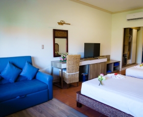 Premium Window Garden View