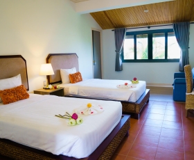 Premium Window Garden View