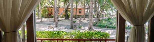 Premier Garden Room/Bungalow | Hồ Tràm Beach Resort
