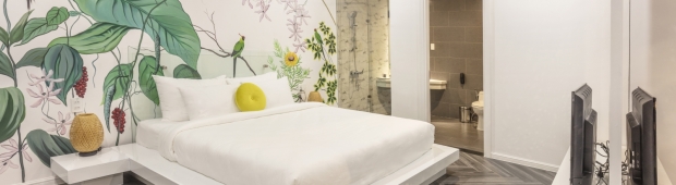 Phòng Suite Double | Len's Hotel Đà Lạt