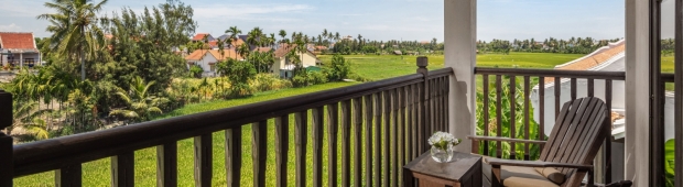 Deluxe Rice Field View