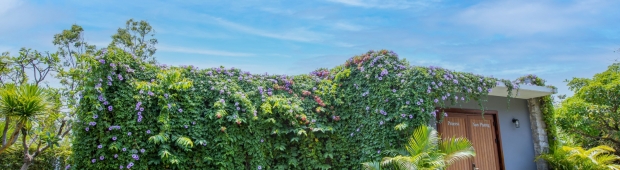 Princess Nam Phuong 3 Bedrooms | Casa Marina Quy Nhơn